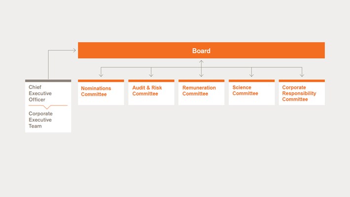 board of committees