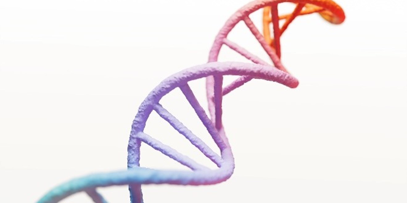 DNA struttura